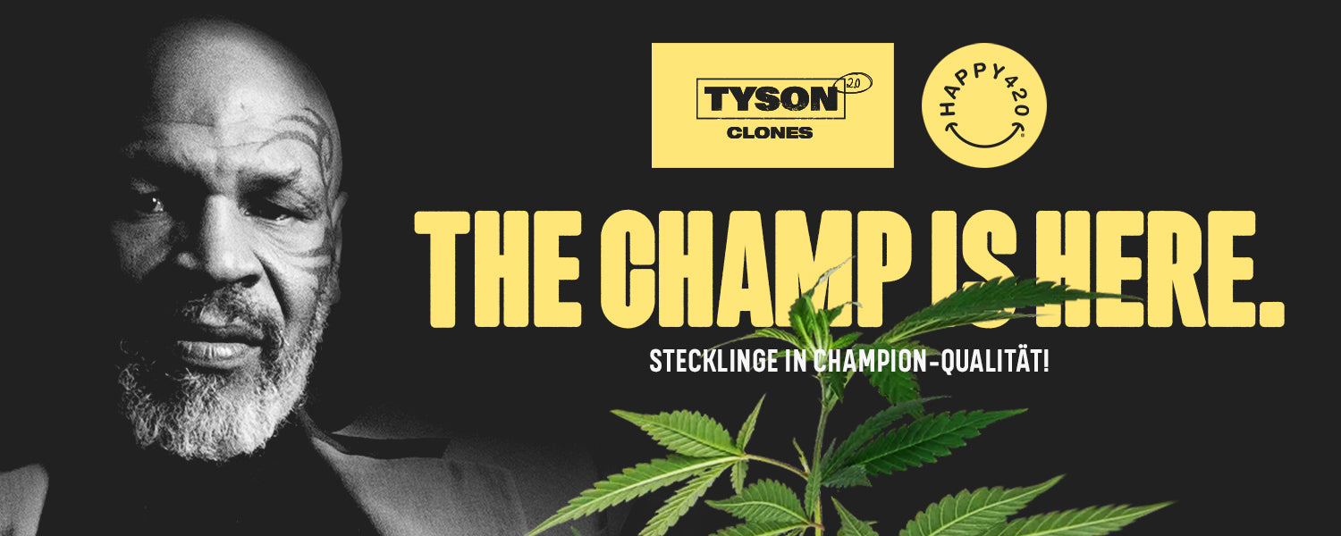 Tyson 2.0 Clones