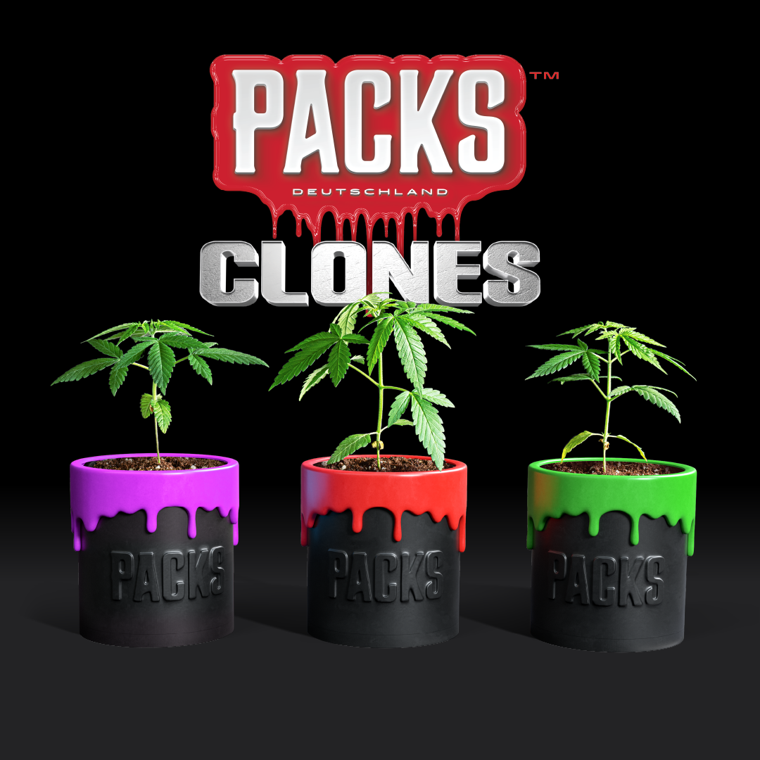 Zweets | Hanf365.de